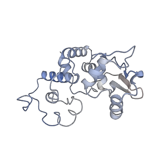 6584_5imq_H_v1-6
Structure of ribosome bound to cofactor at 3.8 angstrom resolution