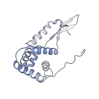 6584_5imq_K_v1-6
Structure of ribosome bound to cofactor at 3.8 angstrom resolution