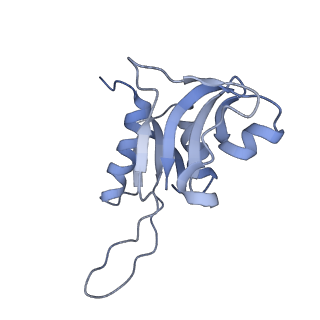 6584_5imq_L_v1-6
Structure of ribosome bound to cofactor at 3.8 angstrom resolution