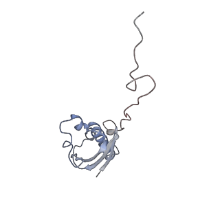 6584_5imq_M_v1-6
Structure of ribosome bound to cofactor at 3.8 angstrom resolution