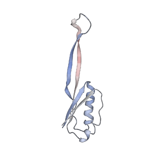 6584_5imq_N_v1-6
Structure of ribosome bound to cofactor at 3.8 angstrom resolution