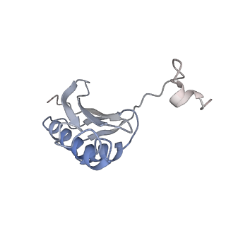 6584_5imq_O_v1-6
Structure of ribosome bound to cofactor at 3.8 angstrom resolution