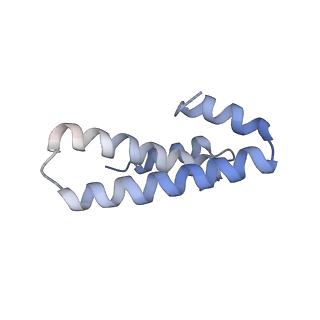 6584_5imq_S_v1-6
Structure of ribosome bound to cofactor at 3.8 angstrom resolution