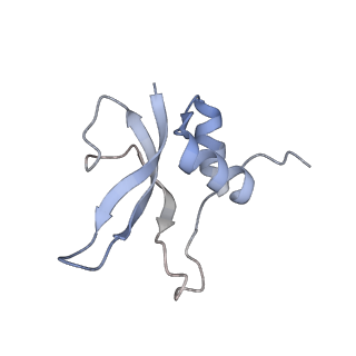 6584_5imq_T_v1-6
Structure of ribosome bound to cofactor at 3.8 angstrom resolution