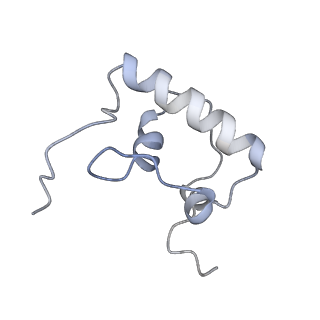 6584_5imq_V_v1-6
Structure of ribosome bound to cofactor at 3.8 angstrom resolution