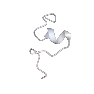6584_5imq_Y_v1-6
Structure of ribosome bound to cofactor at 3.8 angstrom resolution