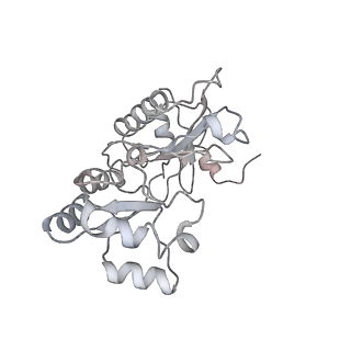 6584_5imq_Z_v1-6
Structure of ribosome bound to cofactor at 3.8 angstrom resolution