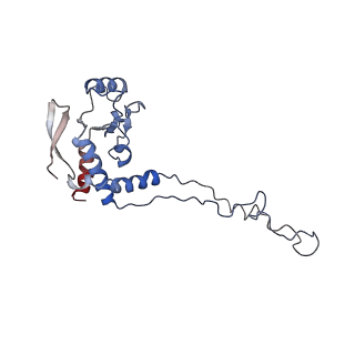 6584_5imq_c_v1-6
Structure of ribosome bound to cofactor at 3.8 angstrom resolution