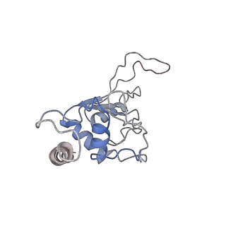 6584_5imq_d_v1-6
Structure of ribosome bound to cofactor at 3.8 angstrom resolution