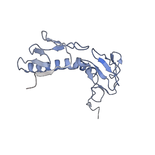 6584_5imq_e_v1-6
Structure of ribosome bound to cofactor at 3.8 angstrom resolution