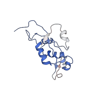 6584_5imq_f_v1-6
Structure of ribosome bound to cofactor at 3.8 angstrom resolution