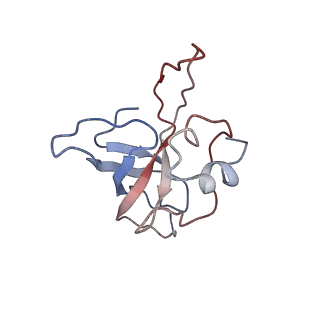 6584_5imq_g_v1-6
Structure of ribosome bound to cofactor at 3.8 angstrom resolution