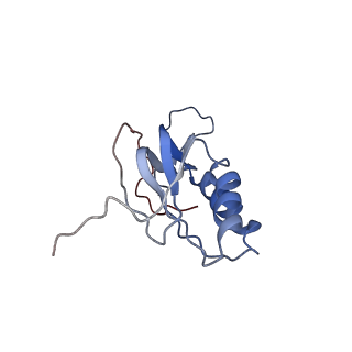 6584_5imq_i_v1-6
Structure of ribosome bound to cofactor at 3.8 angstrom resolution
