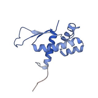 6584_5imq_j_v1-6
Structure of ribosome bound to cofactor at 3.8 angstrom resolution