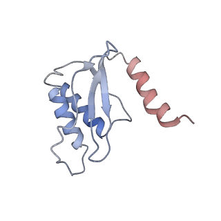 6584_5imq_k_v1-6
Structure of ribosome bound to cofactor at 3.8 angstrom resolution