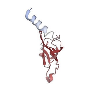 6584_5imq_l_v1-6
Structure of ribosome bound to cofactor at 3.8 angstrom resolution