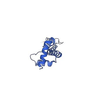 6584_5imq_m_v1-6
Structure of ribosome bound to cofactor at 3.8 angstrom resolution