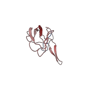 6584_5imq_n_v1-6
Structure of ribosome bound to cofactor at 3.8 angstrom resolution