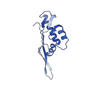 6584_5imq_o_v1-6
Structure of ribosome bound to cofactor at 3.8 angstrom resolution