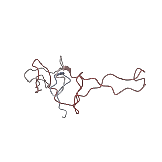 6584_5imq_q_v1-6
Structure of ribosome bound to cofactor at 3.8 angstrom resolution
