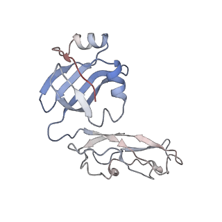 6584_5imq_r_v1-6
Structure of ribosome bound to cofactor at 3.8 angstrom resolution