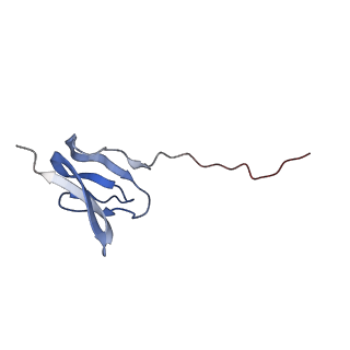 6584_5imq_s_v1-6
Structure of ribosome bound to cofactor at 3.8 angstrom resolution