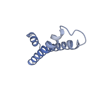 6584_5imq_t_v1-6
Structure of ribosome bound to cofactor at 3.8 angstrom resolution