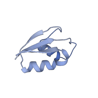 6584_5imq_u_v1-6
Structure of ribosome bound to cofactor at 3.8 angstrom resolution