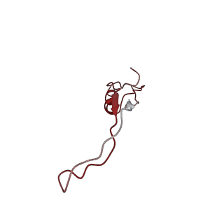 6584_5imq_v_v1-6
Structure of ribosome bound to cofactor at 3.8 angstrom resolution
