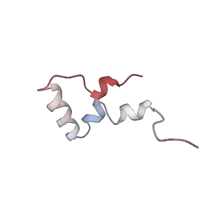 6584_5imq_y_v1-6
Structure of ribosome bound to cofactor at 3.8 angstrom resolution