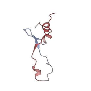 6584_5imq_z_v1-6
Structure of ribosome bound to cofactor at 3.8 angstrom resolution