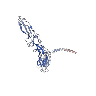9693_6imm_N_v1-0
Cryo-EM structure of an alphavirus, Sindbis virus