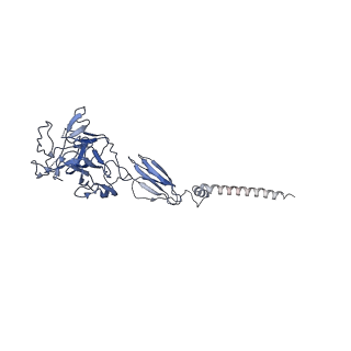 9693_6imm_P_v1-0
Cryo-EM structure of an alphavirus, Sindbis virus