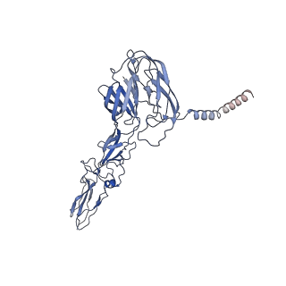 9693_6imm_T_v1-0
Cryo-EM structure of an alphavirus, Sindbis virus