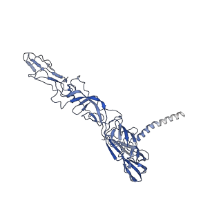 9693_6imm_Z_v1-0
Cryo-EM structure of an alphavirus, Sindbis virus