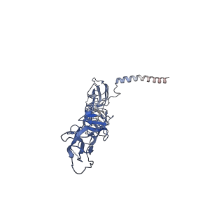 9693_6imm_a_v1-0
Cryo-EM structure of an alphavirus, Sindbis virus