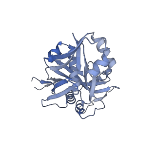 35592_8in8_B_v1-1
Cryo-EM structure of the target ssDNA-bound SIR2-APAZ/Ago-gRNA quaternary complex