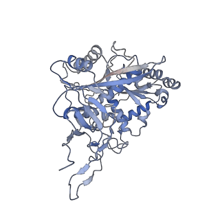 35592_8in8_C_v1-1
Cryo-EM structure of the target ssDNA-bound SIR2-APAZ/Ago-gRNA quaternary complex