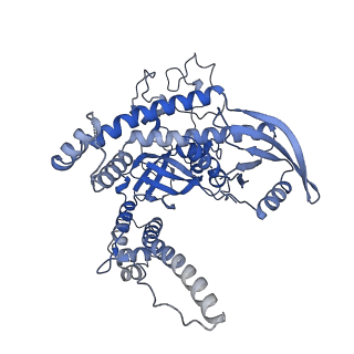 35595_8inb_A_v1-1
Cryo-EM structure of Cas12j-SF05-crRNA-dsDNA complex