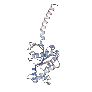 35601_8inr_A_v1-0
Cryo-EM structure of the alpha-MSH-bound human melanocortin receptor 5 (MC5R)-Gs complex