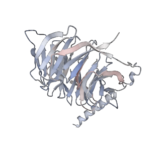 35601_8inr_B_v1-0
Cryo-EM structure of the alpha-MSH-bound human melanocortin receptor 5 (MC5R)-Gs complex