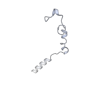 35601_8inr_G_v1-0
Cryo-EM structure of the alpha-MSH-bound human melanocortin receptor 5 (MC5R)-Gs complex