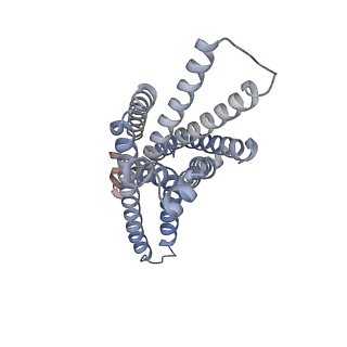 35601_8inr_R_v1-0
Cryo-EM structure of the alpha-MSH-bound human melanocortin receptor 5 (MC5R)-Gs complex