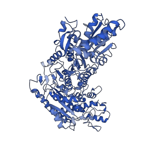 35609_8io6_A_v1-3
Cryo-EM structure of phosphoketolase from Bifidobacterium longum in octameric assembly