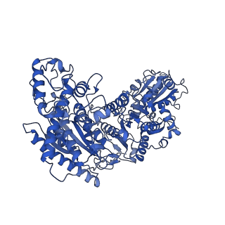 35609_8io6_B_v1-3
Cryo-EM structure of phosphoketolase from Bifidobacterium longum in octameric assembly