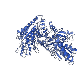 35609_8io6_C_v1-3
Cryo-EM structure of phosphoketolase from Bifidobacterium longum in octameric assembly