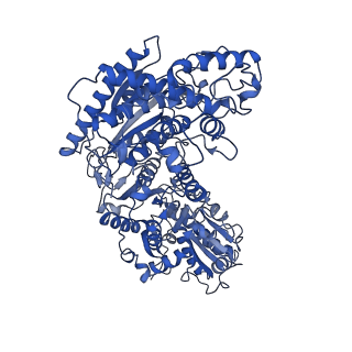 35609_8io6_D_v1-3
Cryo-EM structure of phosphoketolase from Bifidobacterium longum in octameric assembly