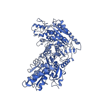 35609_8io6_E_v1-3
Cryo-EM structure of phosphoketolase from Bifidobacterium longum in octameric assembly