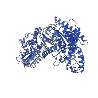 35609_8io6_F_v1-3
Cryo-EM structure of phosphoketolase from Bifidobacterium longum in octameric assembly