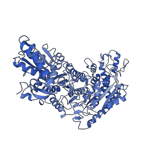 35609_8io6_G_v1-3
Cryo-EM structure of phosphoketolase from Bifidobacterium longum in octameric assembly